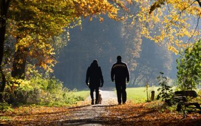 Video Series Part 4 – Motor Vehicle Brain Injury