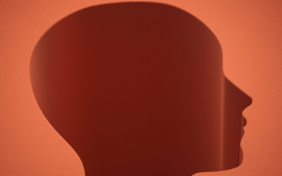 Beyond the Overdose: A Brain Injury Lens on Addiction and Drug Policy in BC