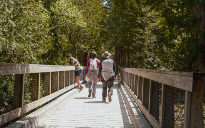 Bridging Community Care and National Policy: A Conversation with Janelle Breese Biagioni