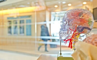 Study Identifies Potential Areas of Focus for Enhanced Motor Recovery After Stroke